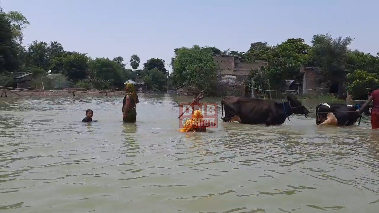 बेगूसराय में गंगा जलस्तर बढने से लोगो की बढ़ी परेशानी, निचले ईलाके मे बसे लोगो के घरों में घुसा बाढ़ का पानी, लोग पलायन को मजबूर 4