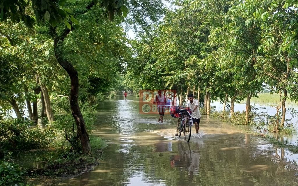 गंगा के जल स्तर में लगातार वृद्धि होने से जनजीवन अस्त-व्यस्त, पंचायत का प्रखंड मुख्यालय से सम्पर्क हुआ भंग 2