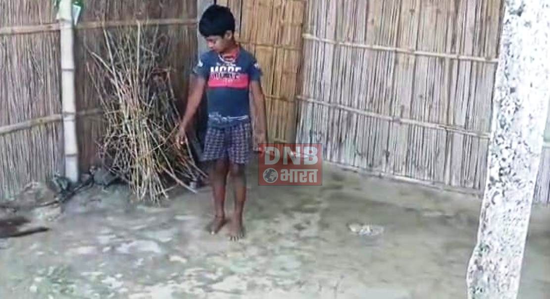 बेगूसराय मे अपराधियों ने रात के अंधेरे में मानवता को किया शर्मशार, 80 वर्षीय महिला के साथ किया दुष्कर्म 4