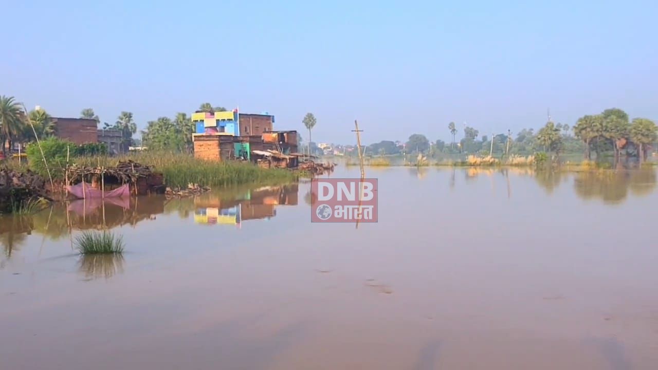 नालंदा : जिराईन नदी में पानी बढ़ने से बिना शटर के बने पुल से कथराही गांव के मिल्की खंधा,पानी से हुआ जल मग्न 2