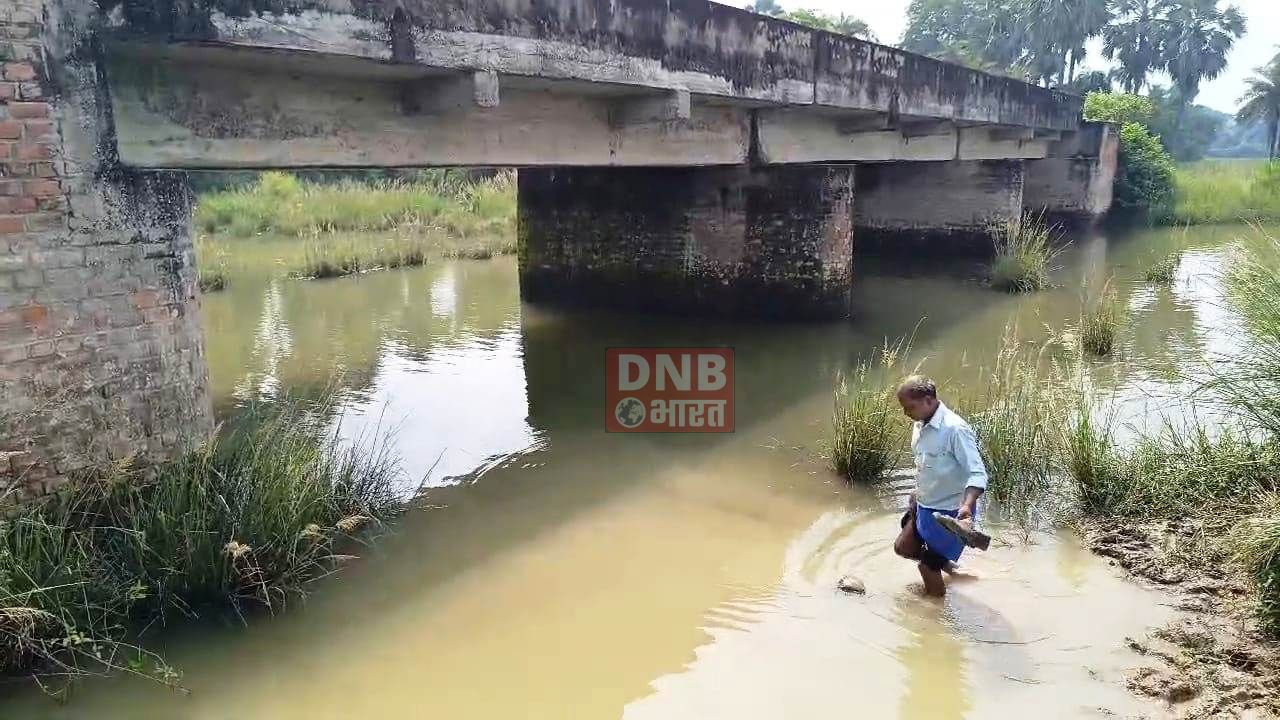 नालंदा में पुल निर्माण की अनोखी कहानी, 20 साल बाद भी नहीं शुरू हुआ पूल, ग्रामीणों को नोनिया नदी पार करने की मजबूरी 3