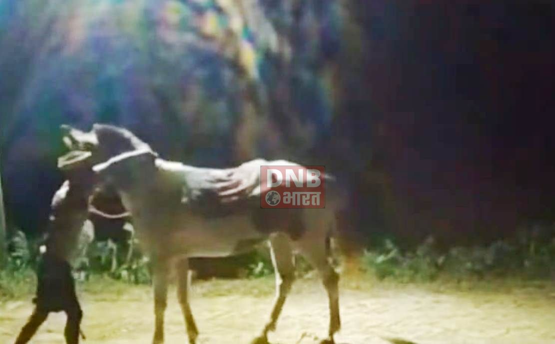 बेगूसराय में बेखौफ अपराधियों ने मछली लूटने के दौरान की ताबड़तोड़ फायरिंग व जलकर में लगाई आग, उसके बाद घोड़ा पर बैठकर हथियार लहराते हुए मौके से हुआ फरार 4