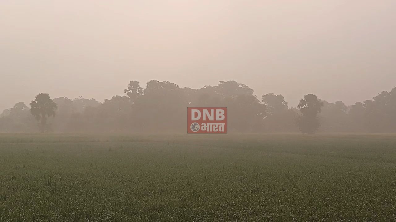 दीपावली के पहले नालंदा जिला घना कोहरे की चादर में लिपटा, मॉर्निंग वॉक पर निकले लोगों को हुआ हल्की ठंड का एहसास 3