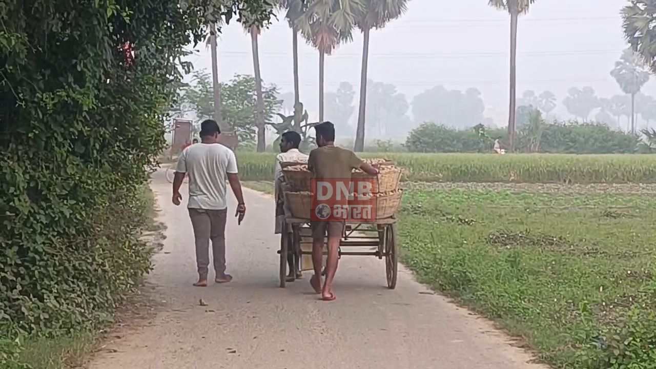 दीपावली के पहले नालंदा जिला घना कोहरे की चादर में लिपटा, मॉर्निंग वॉक पर निकले लोगों को हुआ हल्की ठंड का एहसास 4