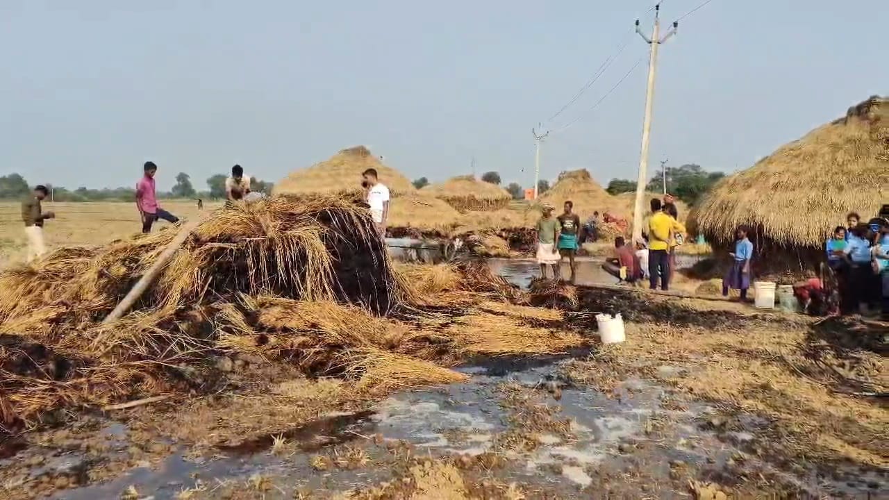 नालंदा : शॉर्ट सर्किट से खलिहान में लगे 19 बीघा के धान के पुंज में लगी आग, फसल जलकर हुई राख 2