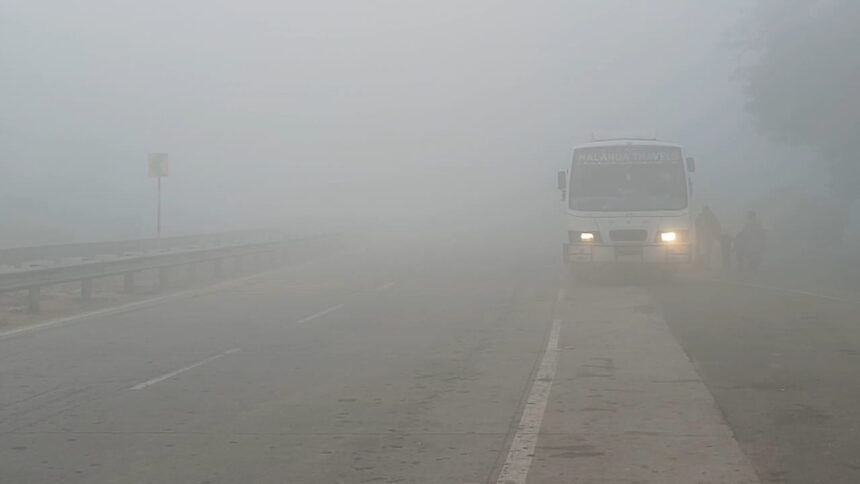 पर्वतीय इलाकों में हो रही बर्फबारी का असर दिखा नालंदा में, कोहरे की चादर में लिपटा पूरा बिहार शरीफ शहर 1