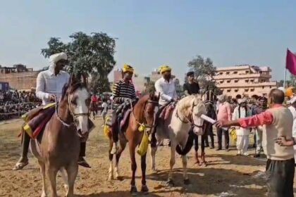 नालंदा: तेल्हाड़ा संस्कृत उच्च विद्यालय टांडा पर के मैदान में घुड़दौड़ प्रतियोगिता का हुआ आयोजन 17