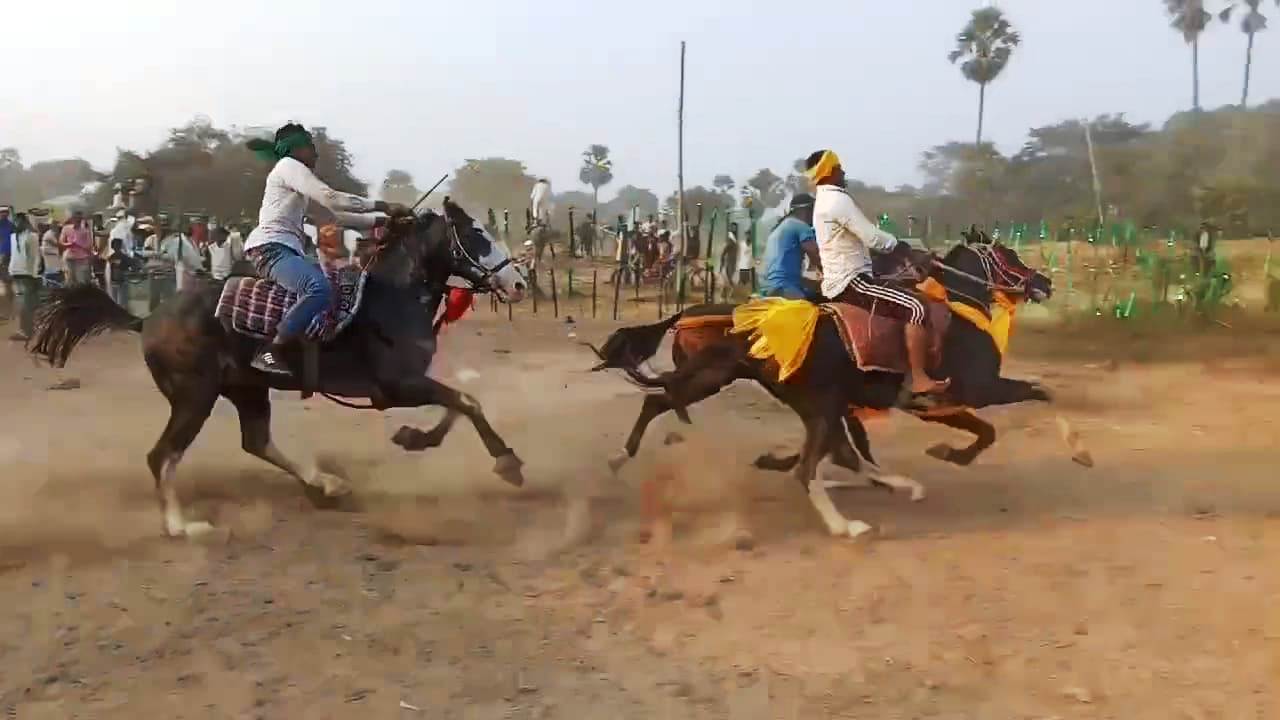 बिहार शरीफ प्रखंड के उपरावा गांव में घुड़दौड़ प्रतियोगिता का किया गया आयोजन 6