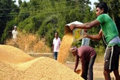 सीसी नहीं मिलने के कारण पैक्सों में धान खरीद कार्य बाधित 29