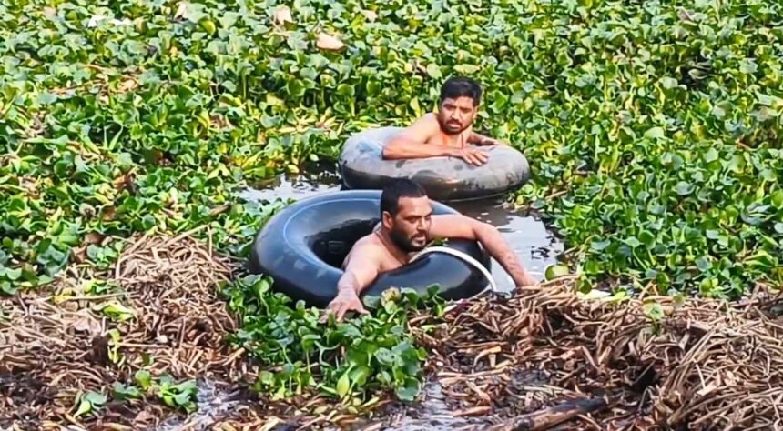 नालंदा: घरेलू विवाद में युवक ने पोखर में लगाई छलांग, युवक की खोजबीन जारी 1