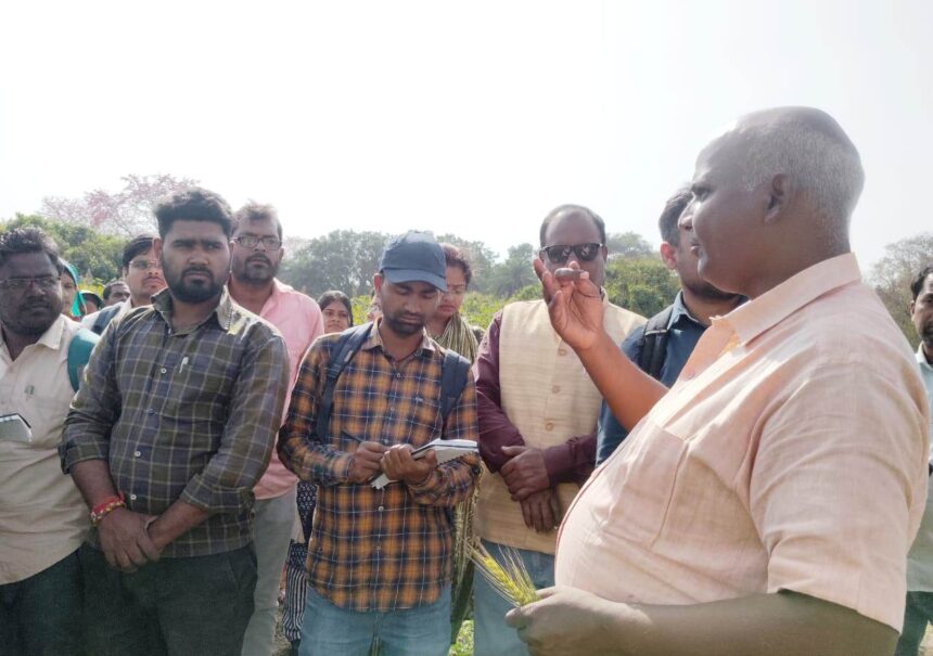 माइक्रो ओरगेन की रक्षा मिट्टी की उर्वरा के लिए जरूरी – डॉ रामपाल 1