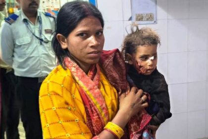 बेगूसराय में आवारा कुत्तों का एक बार फिर आंतक, आवारा कुत्तों के निशाने पर बच्चे व बकरी, लोगों में आतंक 26