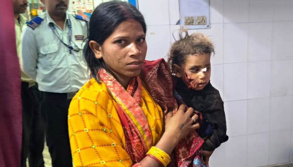 बेगूसराय में आवारा कुत्तों का एक बार फिर आंतक, आवारा कुत्तों के निशाने पर बच्चे व बकरी, लोगों में आतंक 2