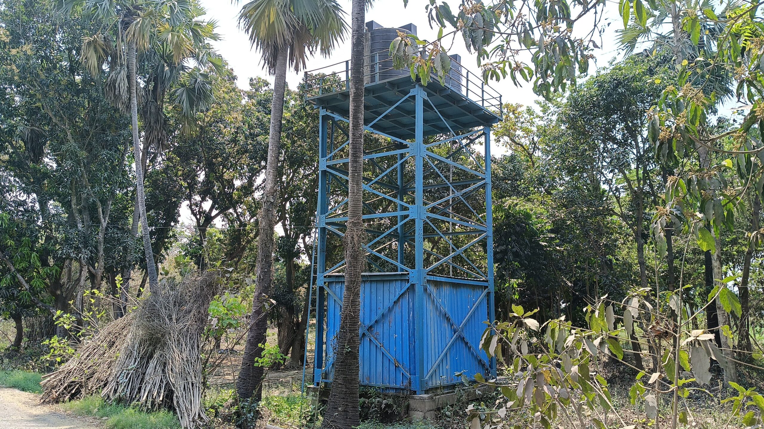 बछवाड़ा में बकाए बिजली बिल को लेकर विद्युत विभाग ने काटा जल नल योजना का कनेक्शन 3