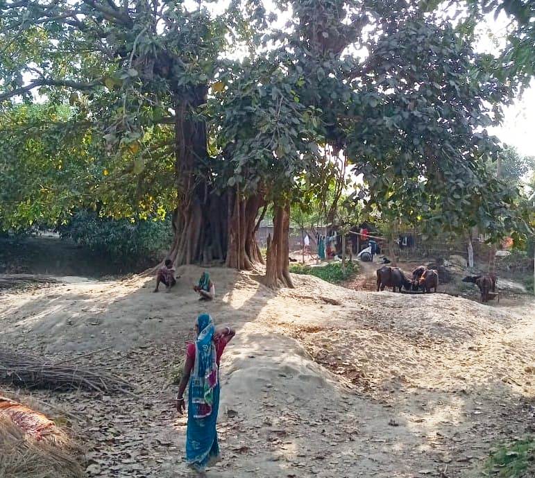 बछवाड़ा में मनरेगा योजना में धांधली के खिलाफ ग्रामीण ने आवेदन देकर कार्यक्रम पदाधिकारी से की शिकायत 2