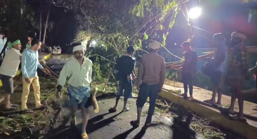 नालंदा में आई आंधी तूफान के कारण पेड़ और दीवार गिरने से 21 की हुई मौत 1