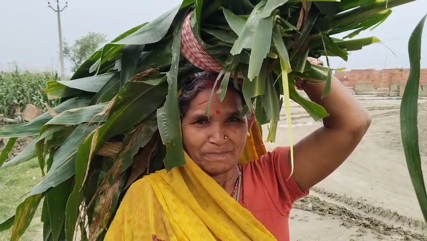 आंधी-तूफान ने मचायी तबाही, सैकड़ो एकड़ में लगी फसल बर्बाद 2