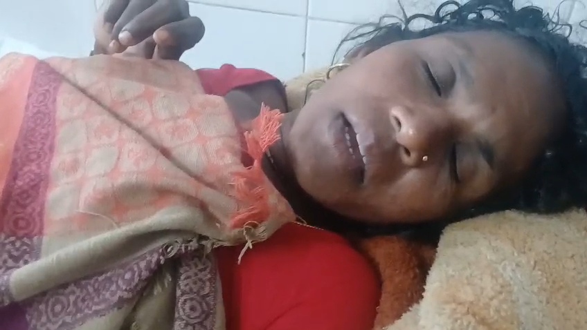 बेगूसराय में आंधी तूफान के कारण एक विशाल पेड़ घर के ऊपर गिरा, तीन लोग दबकर गंभीर रूप से घायल 2