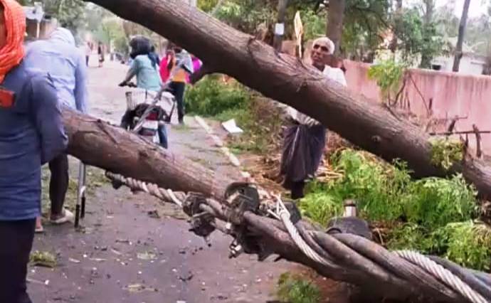 फसल समेत आबादी वाले क्षेत्रों में आंधी और तूफान ने बरपाया कहर, इलाके में करोड़ो का हुआ नुकसान 2