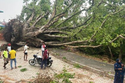 फसल समेत आबादी वाले क्षेत्रों में आंधी और तूफान ने बरपाया कहर, इलाके में करोड़ो का हुआ नुकसान 18