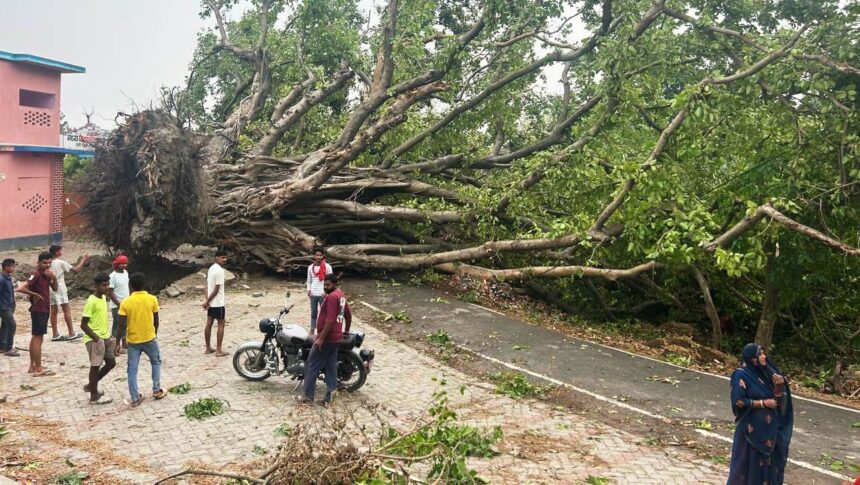 फसल समेत आबादी वाले क्षेत्रों में आंधी और तूफान ने बरपाया कहर, इलाके में करोड़ो का हुआ नुकसान 1