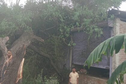 बेमौसम बारिश से बर्बाद हुए फसल को प्राकृतिक आपदा घोषित कर किसानों को मिले मुआवजा 32