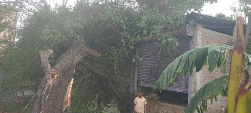 बेमौसम बारिश से बर्बाद हुए फसल को प्राकृतिक आपदा घोषित कर किसानों को मिले मुआवजा 1