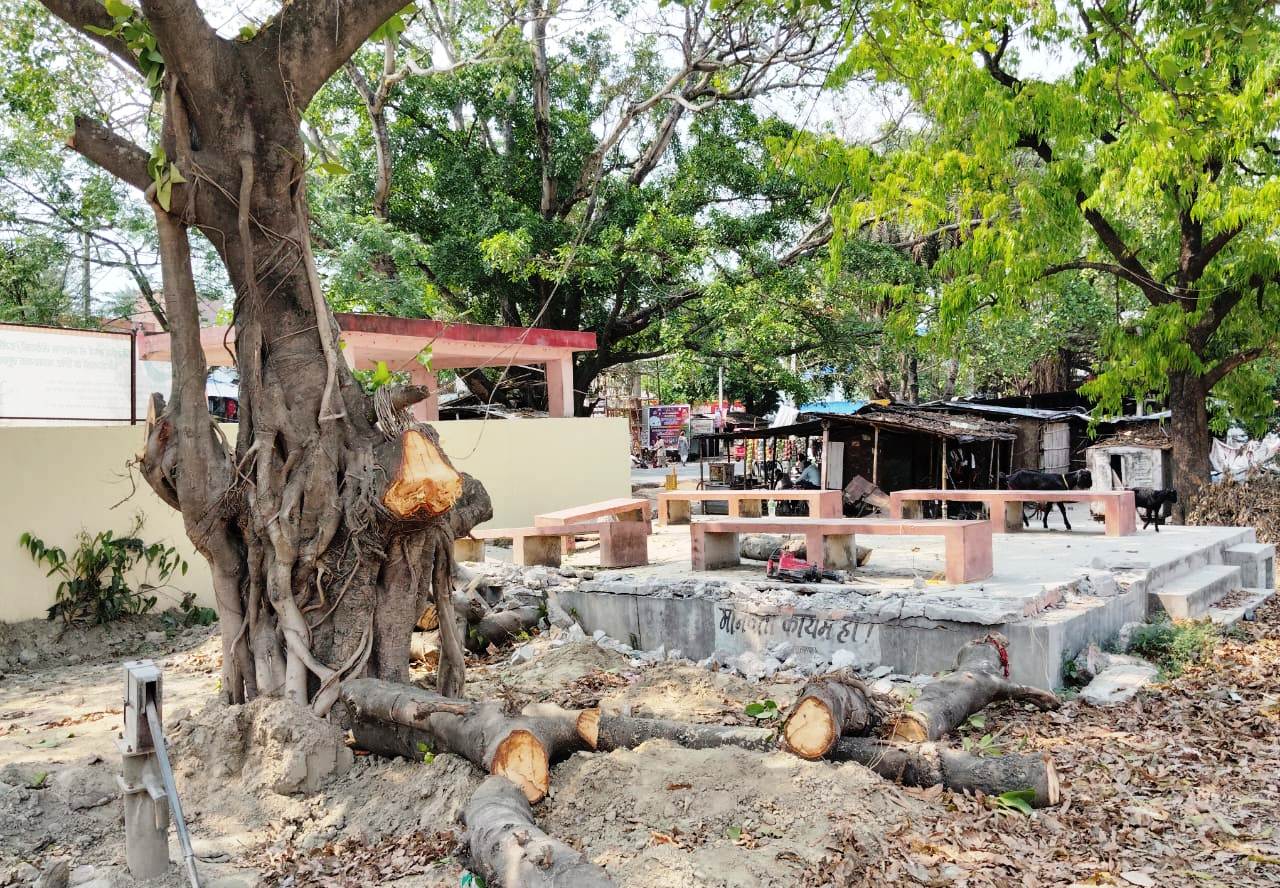 सौंदर्यीकरण के नाम पर हरे पेड़ो की कटाई, प्रशासन बनी मुखदर्शक 2