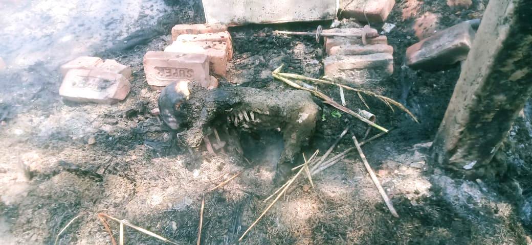 मुजफ्फरपुर में बिजली की चिंगारी से उठी आग में 4 मासूम जिंदा जले, 40 घर स्वाहा 2