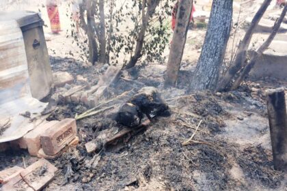 मुजफ्फरपुर में बिजली की चिंगारी से उठी आग में 4 मासूम जिंदा जले, 40 घर स्वाहा 23