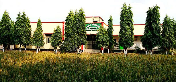 बेमौषम की बरसात से फायदा उठाएं किसान: -डॉ रामपाल 5