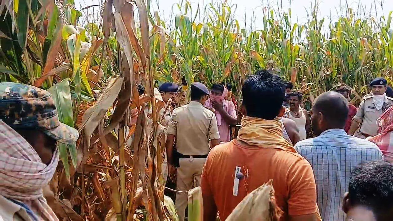 खगड़िया: 5 दिन से गायब बालक का शव मकई खेत से हुआ बरामद 2