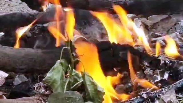 बेगूसराय में भीषण गर्मी के कारण विद्युत ट्रांसफार्मर में लगी आग, लोगों में अफरातफरी का हुआ माहौल 2