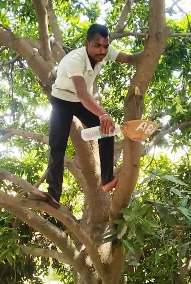 बेगूसराय में ABVP द्वारा शहर में सकोरा अभियान की शुरुआत 7