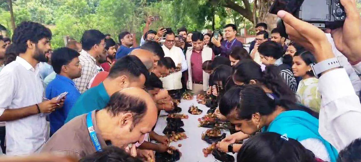 केन्द्रीय कृषि विश्वविद्यालय समस्तीपुर पूसा में लीची उत्सव कार्यक्रम का किया गया आयोजन 3