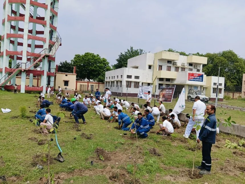 एलएनटी द्वारा बरौनी आरपीएफ कैंप बरौनी में वृक्षारोपण किया गया 1