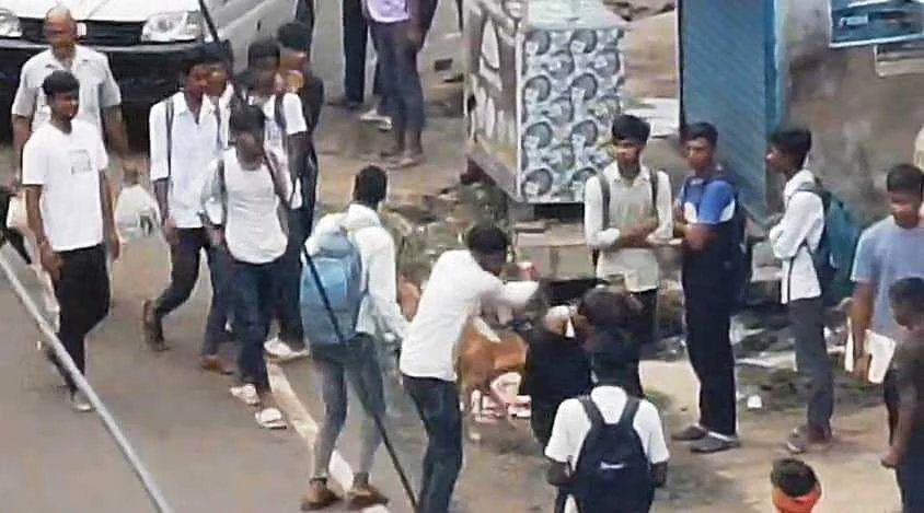 नालंदा: सरेआम बीच सड़क पर हुई छात्र की पिटाई,पिटाई के दौरान राहगीर बने मुकदर्शक 2