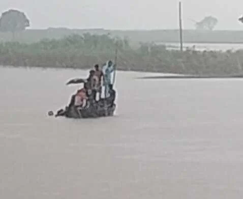 खगड़िया - घास लाने के क्रम में नाव डूबी, दो की मौत, शेष 8 महिला पानी से तैरकर किसी तरह बचाई जान 1