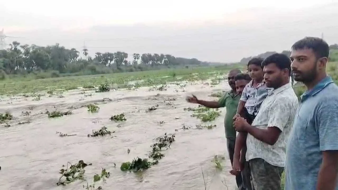 नालंदा: जिलाधिकारी कुंदन कुमार ने की आपात बैठक, झारखंड से छोड़ा गया एक लाख पंद्रह हजार क्यूसेक पानी 14
