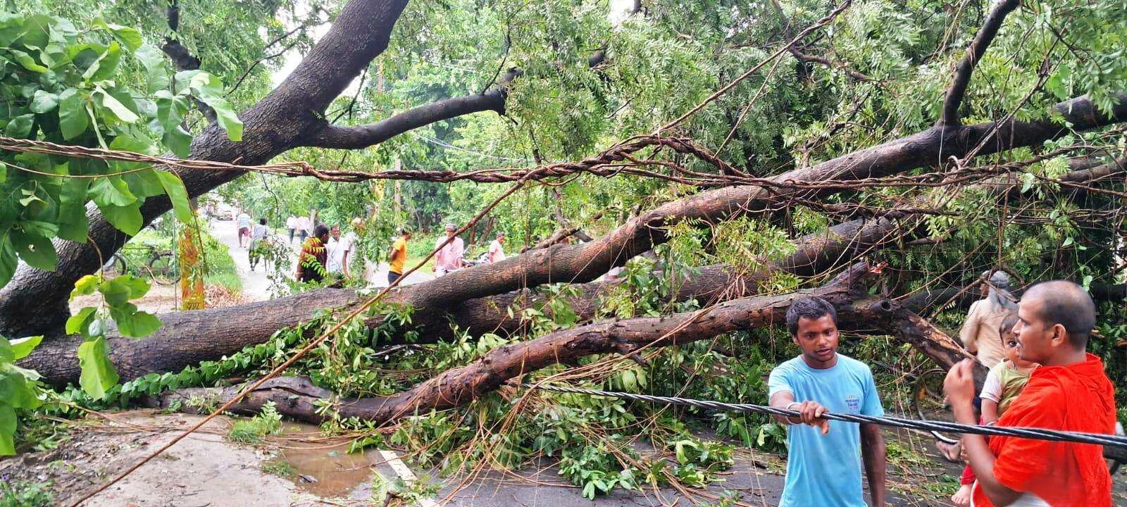 भगवानपुर समसा पथ पर 7 घंटे तक आवागमन रहा ठप, बिजली सप्लाई बाधित 2