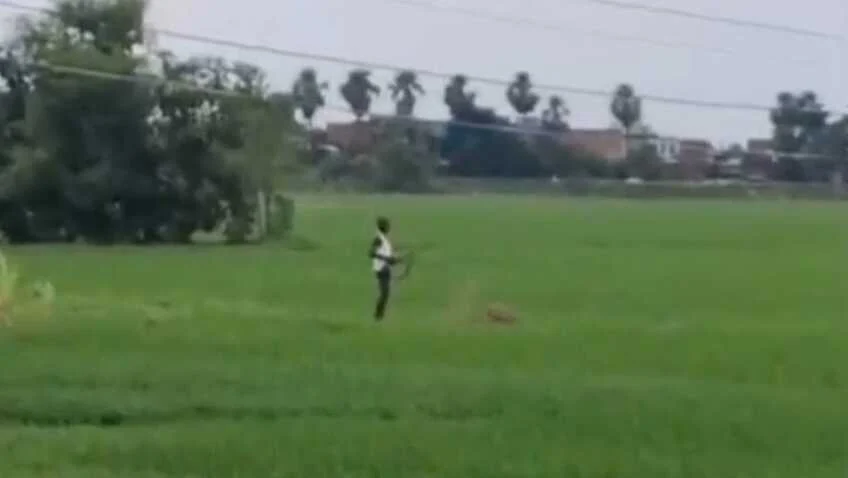 नालंदा: खेत में सिंचाई करने के विवाद को लेकर दबंगों ने वृद्ध के साथ मारपीट कर किया अधमरा,कई राउण्ड की हवाई फायरिंग 1