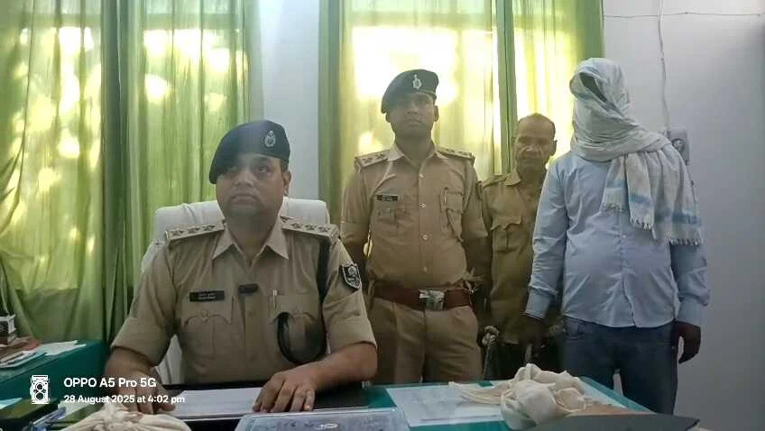 कैमूर में मारूति ब्रेजाकार से 1.027 kg गांजा, एक देशी कटटा और 02 कारतूस बरामद, चालक गिरफ्तार  1