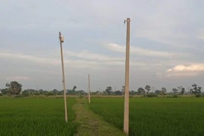 नालंदा: चंडी प्रखंड के मुड़ला बीघा गांव के किसान तरकटवा गिरोह से परेशान, अज्ञात चोरों ने कृषि पटवन के लिए लगाए गए दो किलोमीटर बिजली तार काटकर हुआ फरार 17