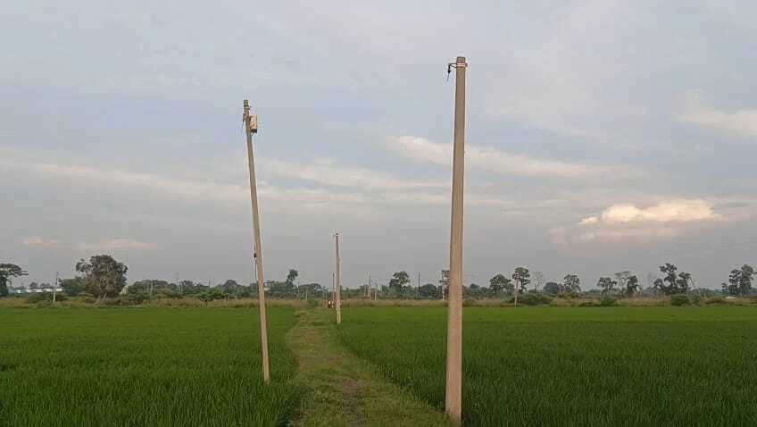 नालंदा: चंडी प्रखंड के मुड़ला बीघा गांव के किसान तरकटवा गिरोह से परेशान, अज्ञात चोरों ने कृषि पटवन के लिए लगाए गए दो किलोमीटर बिजली तार काटकर हुआ फरार 1