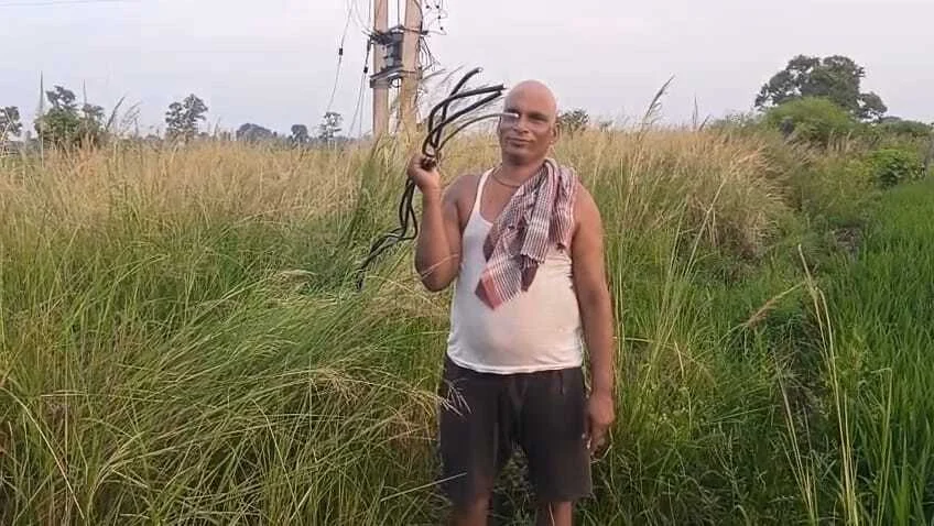 नालंदा: चंडी प्रखंड के मुड़ला बीघा गांव के किसान तरकटवा गिरोह से परेशान, अज्ञात चोरों ने कृषि पटवन के लिए लगाए गए दो किलोमीटर बिजली तार काटकर हुआ फरार 2