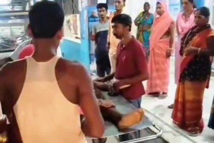 बेगूसराय में मधुमक्खी काटने से युवक की हुई मौत, परिजनों में मचा कोहराम 29