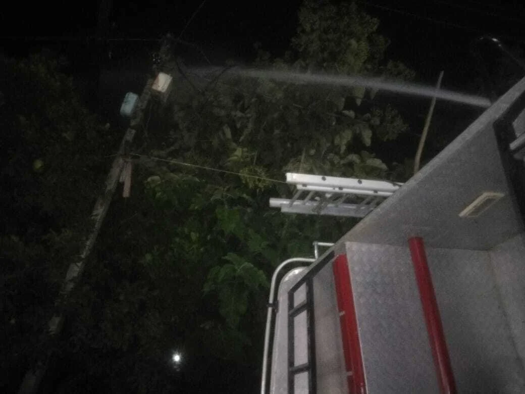 बरौनी थाना क्षेत्र के पिपरा देवस में बिजली की शॉर्ट सर्किट से बिजली खम्भे पर लगी आग 2