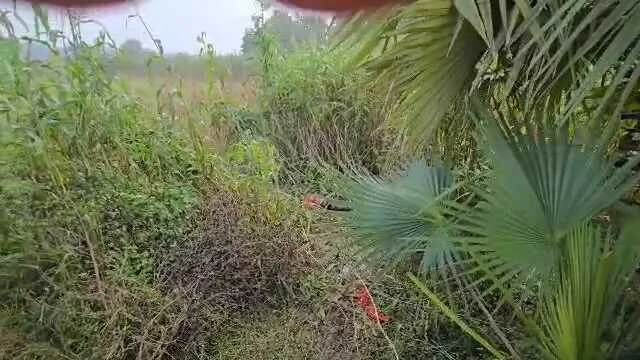 बेगूसराय में बेख़ौफ़ अपराधियों ने एक युवक को गोली मारकर निर्मम तरीके से हत्या कर शव को झाड़ी में फेंका, इलाके में फैली सनसनी 3