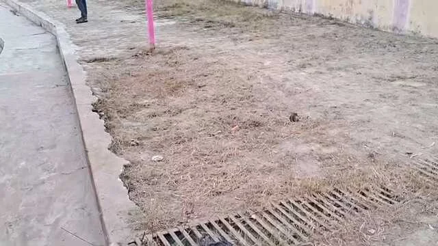 समस्तीपुर: तालाब में बने छठ घाट सीढ़ी हुआ जर्जर घाट पर अनहोनी को लेकर आशंकित लोग 2