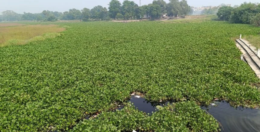 बलान व बुढ़ी गंडक नदी के किनारे माफियाओं का अवैध खनन बना छठव्रतियों के लिए बड़ी समस्या, पदाधिकारी व जनप्रतिनिधि के प्रति लोगों में आक्रोश 1